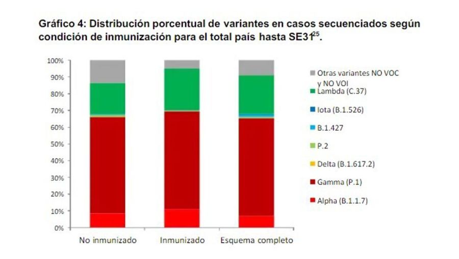 gráficos del informe técnico de agosto sobre la situación de nuevas variantes SARS-CoV-2 en Argentina. 20210819